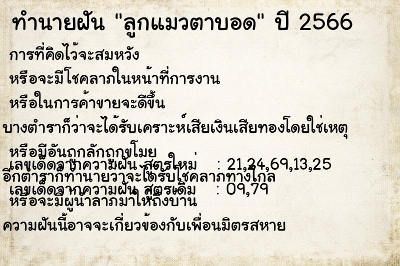 ทำนายฝัน ลูกแมวตาบอด ทำนายฝัน ลูกแมวตาบอด