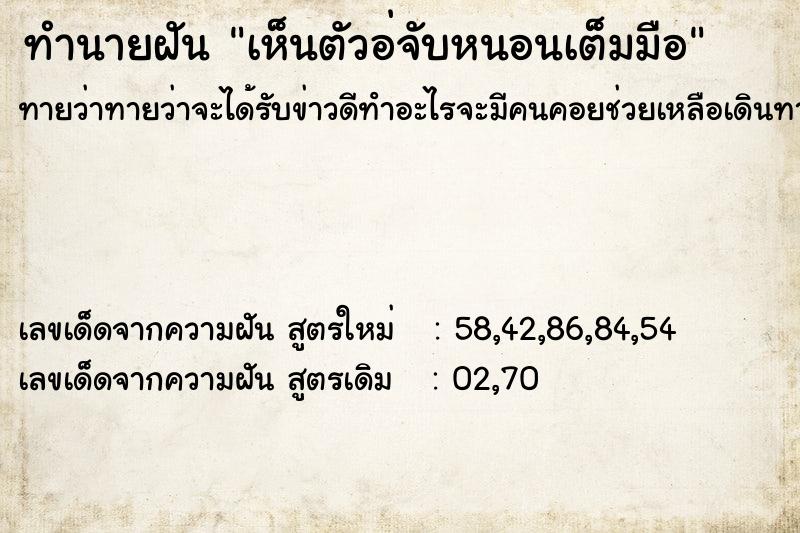 ทำนายฝันทำนายฝันเห็นตัวอ่จับหนอนเต็มมือ