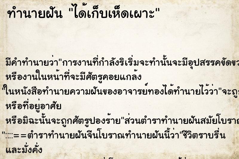 ทำนายฝัน ได้เก็บเห็ดเผาะ ทำนายฝัน ได้เก็บเห็ดเผาะ