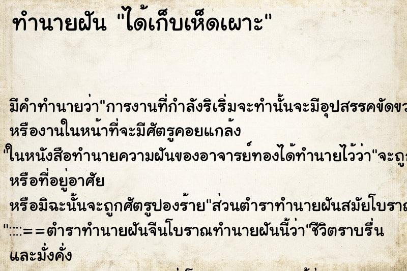 ทำนายฝัน ได้เก็บเห็ดเผาะ ตำราโบราณ แม่นที่สุดในโลก