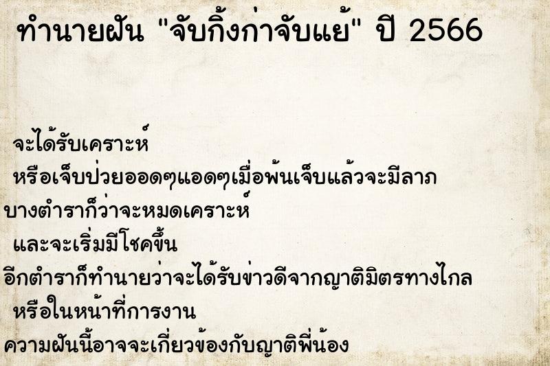 ทำนายฝันจับกิ้งก่าจับแย้ ทำนายฝันทำนายฝันจับกิ้งก่าจับแย้