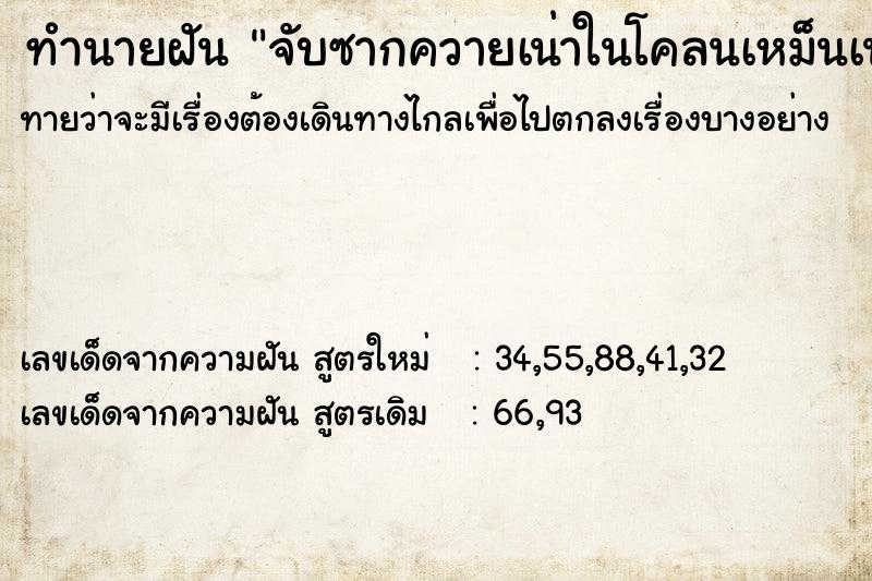 ทำนายฝัน จับซากควายเน่าในโคลนเหม็นเน่า ทำนายฝัน จับซากควายเน่าในโคลนเหม็นเน่า
