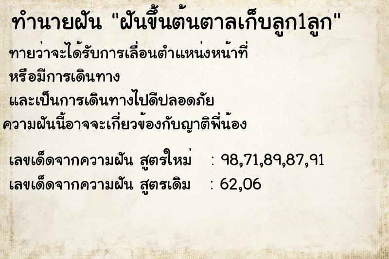 ทำนายฝันทำนายฝันฝันขึ้นต้นตาลเก็บลูก1ลูก