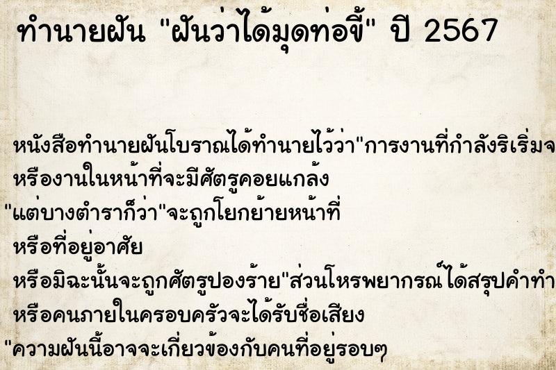 ทำนายฝัน ฝันว่าได้มุดท่อขี้ ทำนายฝัน ฝันว่าได้มุดท่อขี้