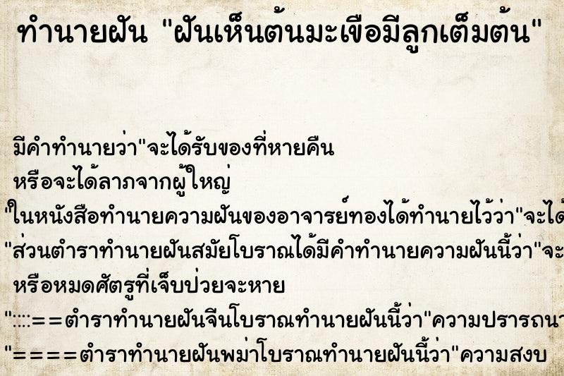 ทำนายฝัน ฝันเห็นต้นมะเขือมีลูกเต็มต้น ทำนายฝัน ฝันเห็นต้นมะเขือมีลูกเต็มต้น