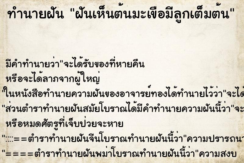 ทำนายฝัน ฝันเห็นต้นมะเขือมีลูกเต็มต้น ตำราโบราณ แม่นที่สุดในโลก