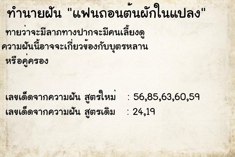 ทำนายฝันทำนายฝันแฟนถอนต้นผักในแปลง
