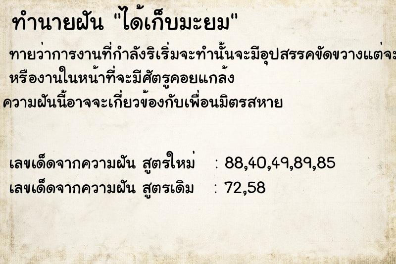ทำนายฝันทำนายฝันได้เก็บมะยม​