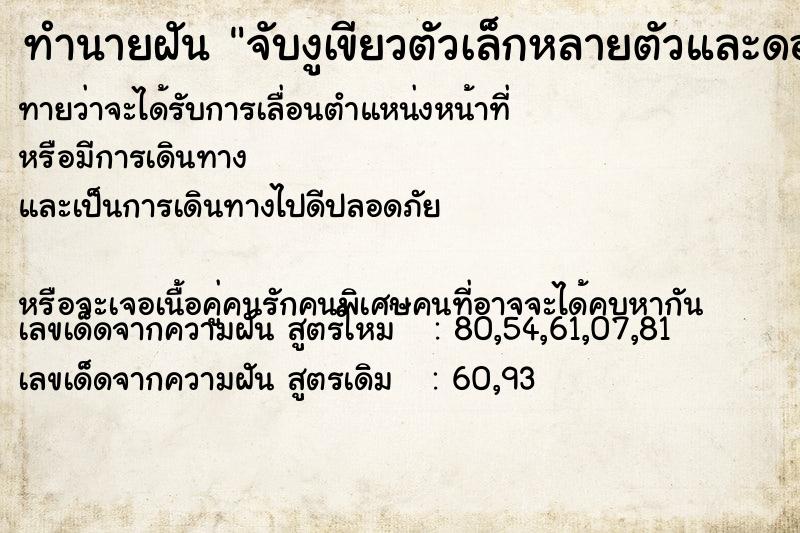 ทำนายฝันจับงูเขียวตัวเล็กหลายตัวและดอกมะลิ ทำนายฝันทำนายฝันจับงูเขียวตัวเล็กหลายตัวและดอกมะลิ