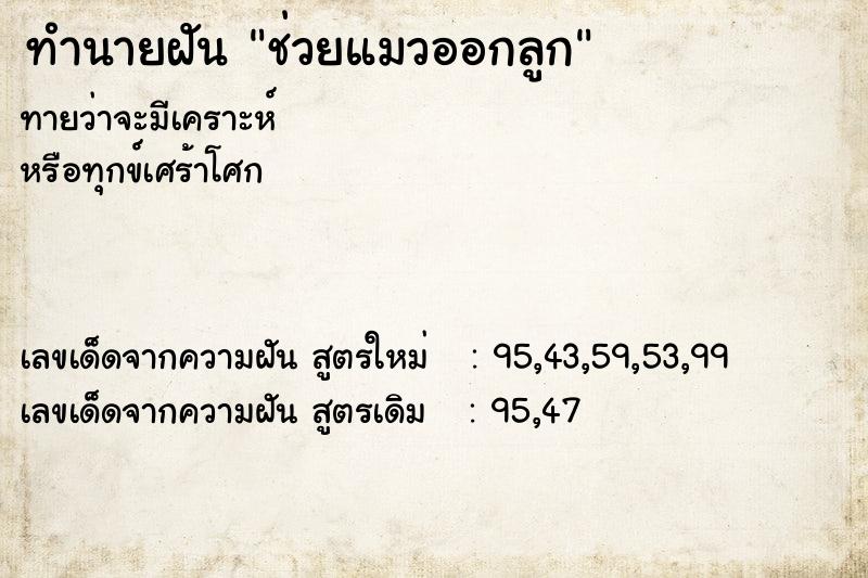 ทำนายฝันช่วยแมวออกลูก ทำนายฝันทำนายฝันช่วยแมวออกลูก