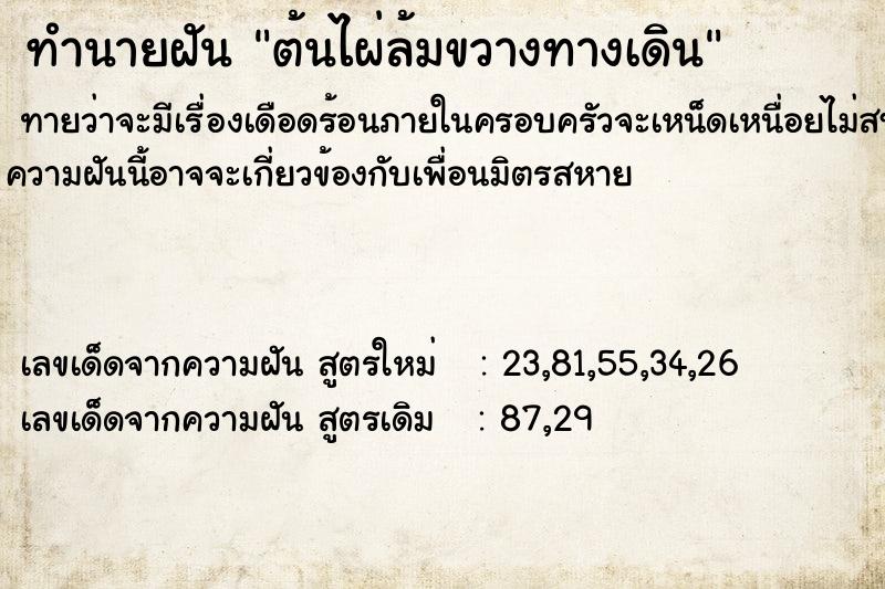 ทำนายฝัน ต้นไผ่ล้มขวางทางเดิน