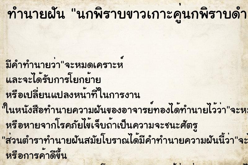 ทำนายฝันนกพิราบขาวเกาะคู่นกพิราบดำ ทำนายฝันทำนายฝันนกพิราบขาวเกาะคู่นกพิราบดำ
