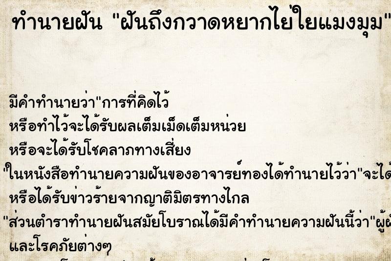 ทำนายฝันทำนายฝันฝันถึงกวาดหยากไย่ใยแมงมุม