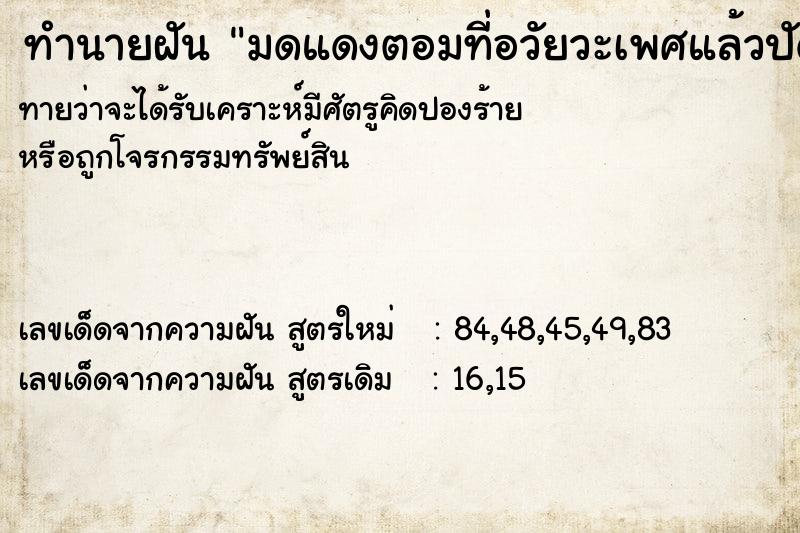 ทำนายฝันทำนายฝันมดแดงตอมที่อวัยวะเพศแล้วปัดไล่ไป