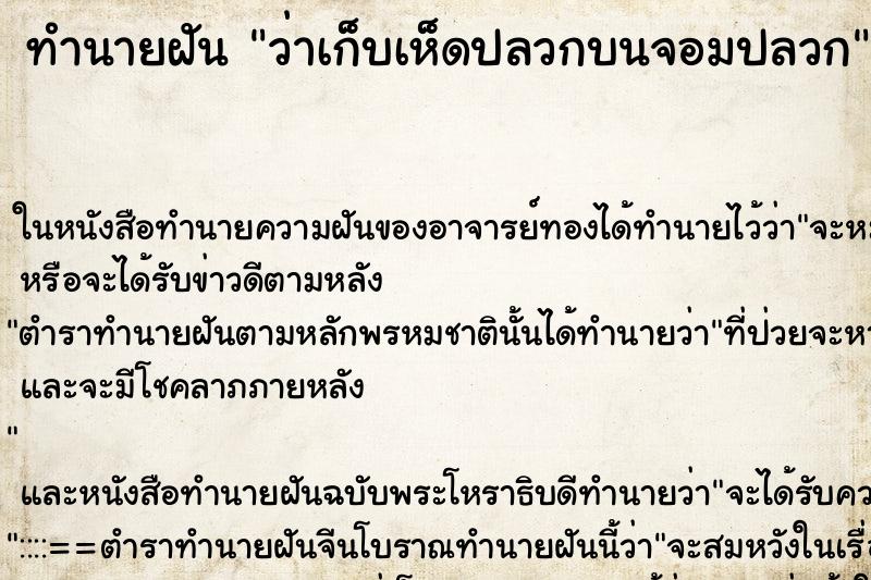 ทำนายฝัน ว่าเก็บเห็ดปลวกบนจอมปลวก ทำนายฝัน ว่าเก็บเห็ดปลวกบนจอมปลวก