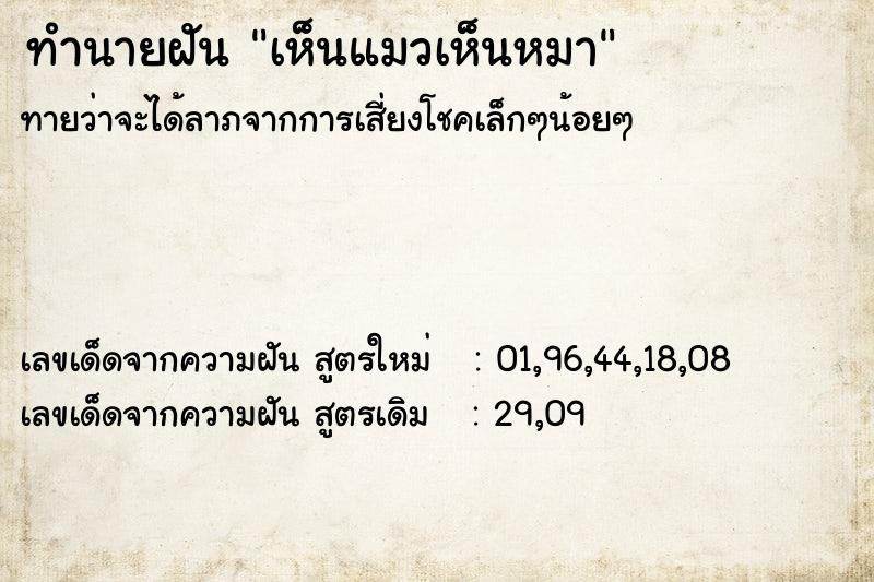 ทำนายฝันทำนายฝันเห็นแมวเห็นหมา