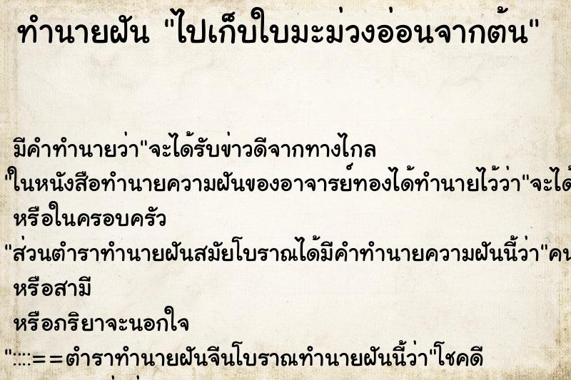ทำนายฝัน ไปเก็บใบมะม่วงอ่อนจากต้น ทำนายฝัน ไปเก็บใบมะม่วงอ่อนจากต้น