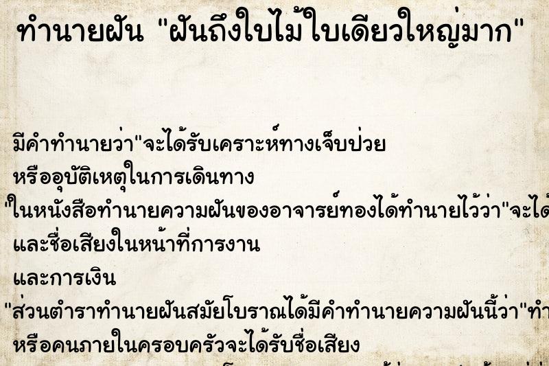 ทำนายฝัน ฝันถึงใบไม้ใบเดียวใหญ่มาก ทำนายฝัน ฝันถึงใบไม้ใบเดียวใหญ่มาก