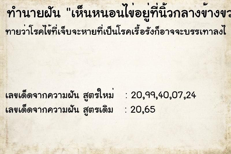 ทำนายฝันทำนายฝันเห็นหนอนไข่อยู่ที่นิ้วกลางข้างขวา