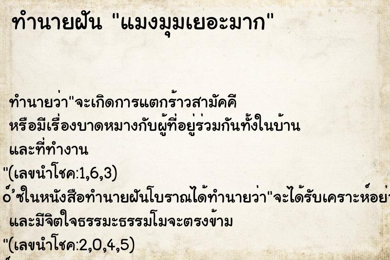 ทำนายฝัน แมงมุมเยอะมาก ตำราโบราณ แม่นที่สุดในโลก