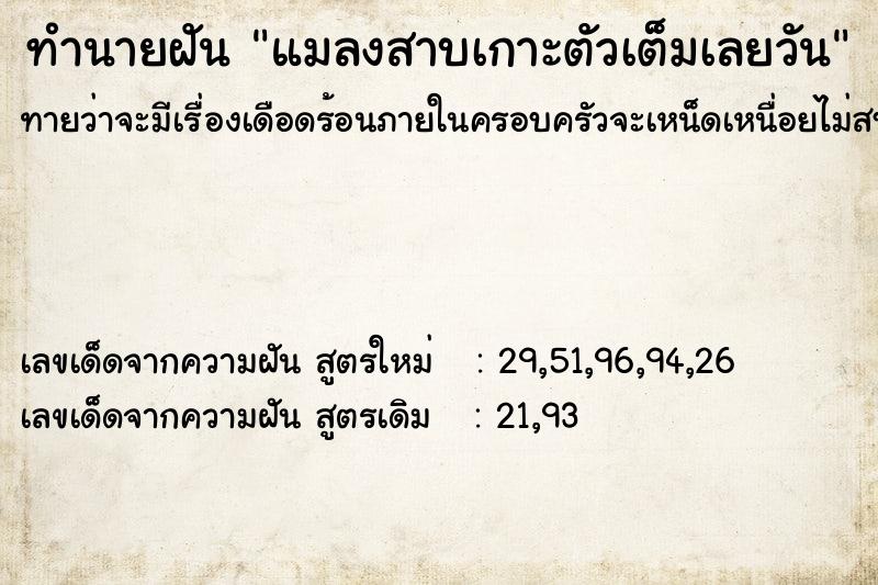 ทำนายฝันทำนายฝันแมลงสาบเกาะตัวเต็มเลยวัน