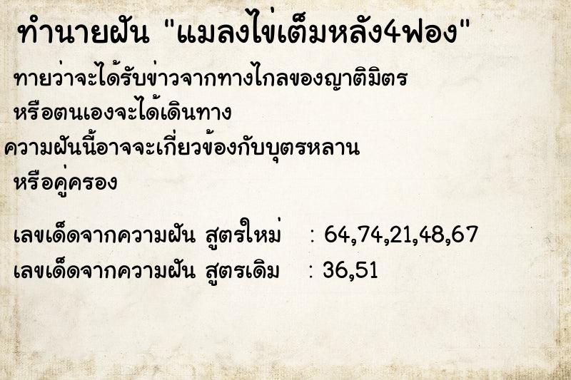 ทำนายฝันแมลงไข่เต็มหลัง4ฟอง ทำนายฝันทำนายฝันแมลงไข่เต็มหลัง4ฟอง