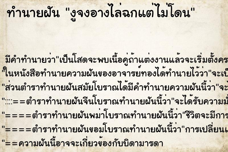 ทำนายฝัน งูจงอางไล่ฉกแต่ไม่โดน ทำนายฝัน งูจงอางไล่ฉกแต่ไม่โดน