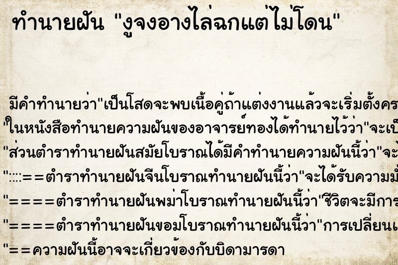 ทำนายฝัน งูจงอางไล่ฉกแต่ไม่โดน ตำราโบราณ แม่นที่สุดในโลก