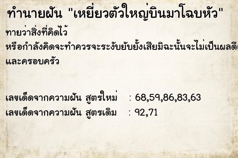 ทำนายฝันเหยี่ยวตัวใหญ่บินมาโฉบหัว ทำนายฝันทำนายฝันเหยี่ยวตัวใหญ่บินมาโฉบหัว