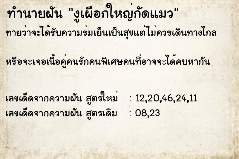 ทำนายฝันงูเผือกใหญ่กัดแมว ทำนายฝันทำนายฝันงูเผือกใหญ่กัดแมว