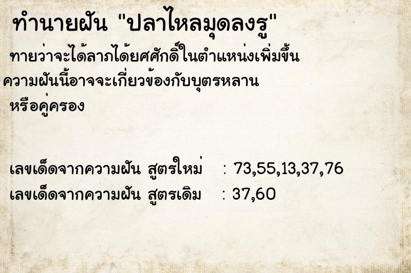 ทำนายฝันปลาไหลมุดลงรู ทำนายฝันทำนายฝันปลาไหลมุดลงรู