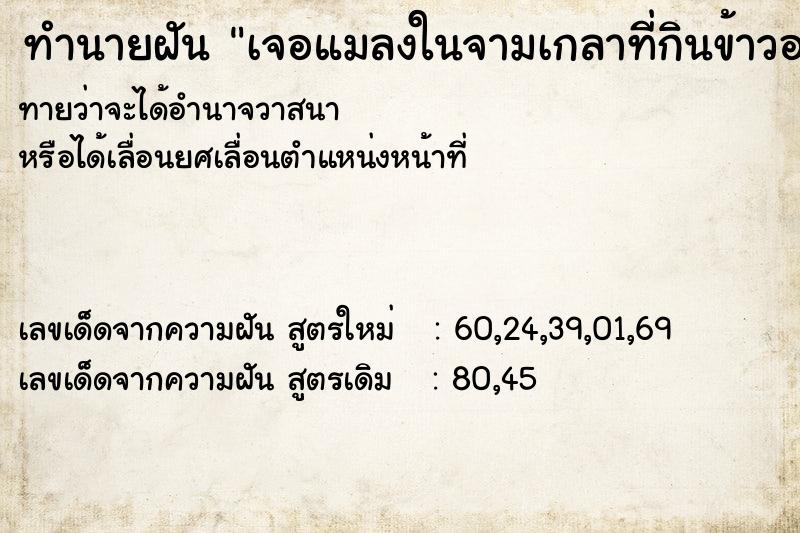 ทำนายฝันทำนายฝันเจอแมลงในจามเกลาที่กินข้าวอยู่