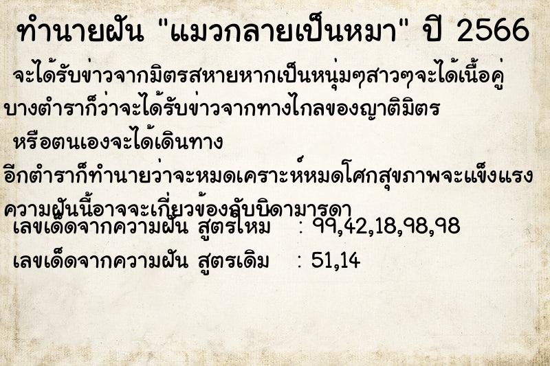 ทำนายฝันแมวกลายเป็นหมา ทำนายฝันทำนายฝันแมวกลายเป็นหมา