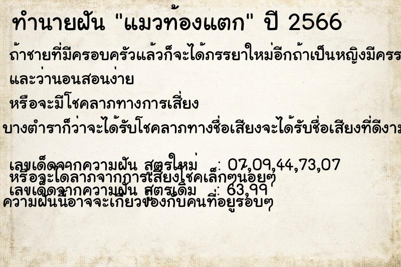 ทำนายฝัน แมวท้องแตก ทำนายฝัน แมวท้องแตก