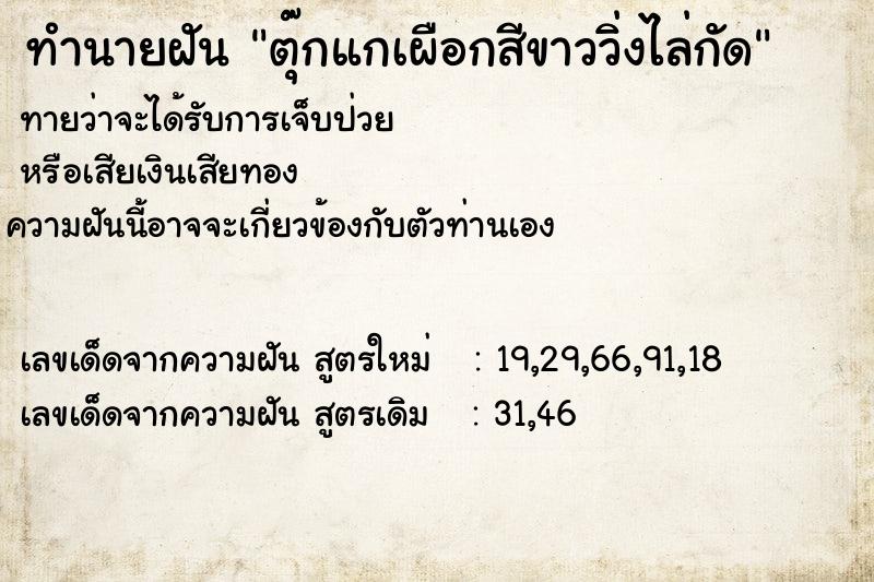 ทำนายฝันตุ๊กแกเผือกสีขาววิ่งไล่กัด ทำนายฝันทำนายฝันตุ๊กแกเผือกสีขาววิ่งไล่กัด