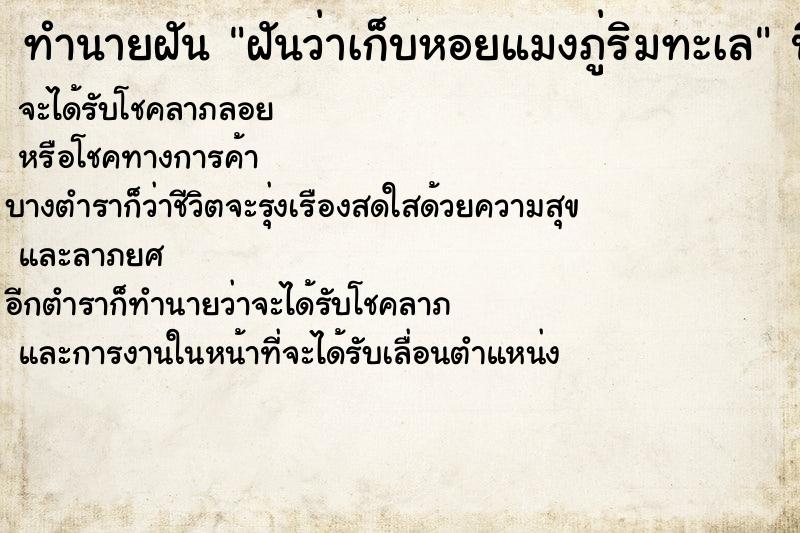 ทำนายฝันฝันว่าเก็บหอยแมงภู่ริมทะเล ทำนายฝันทำนายฝันฝันว่าเก็บหอยแมงภู่ริมทะเล