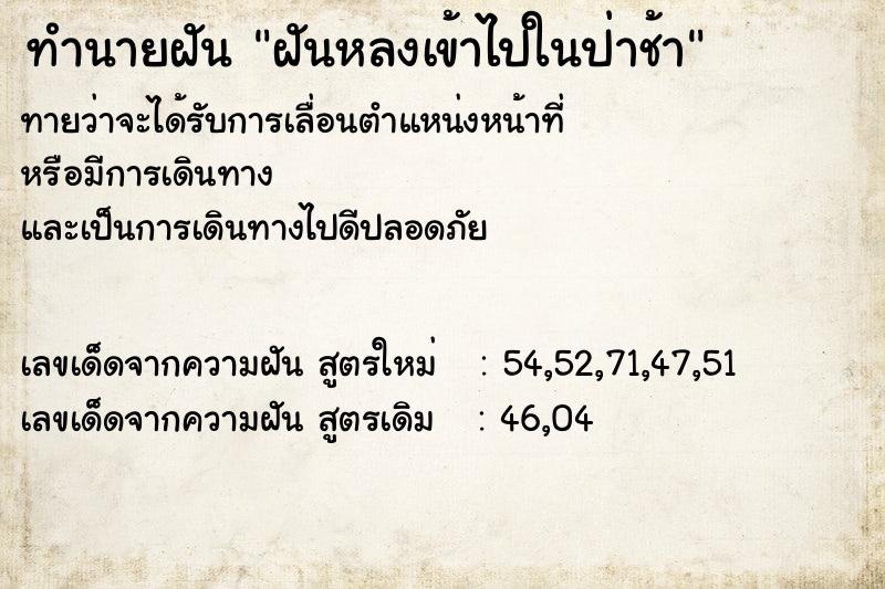 ทำนายฝันฝันหลงเข้าไปในป่าช้า ทำนายฝันทำนายฝันฝันหลงเข้าไปในป่าช้า