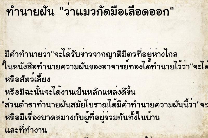 ทำนายฝัน ว่าแมวกัดมือเลือดออก ทำนายฝัน ว่าแมวกัดมือเลือดออก