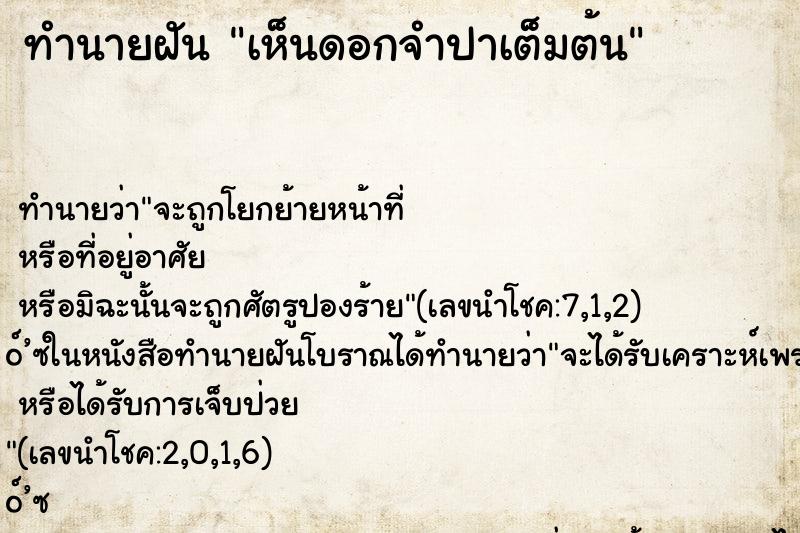 ทำนายฝันเห็นดอกจำปาเต็มต้น ทำนายฝันทำนายฝันเห็นดอกจำปาเต็มต้น