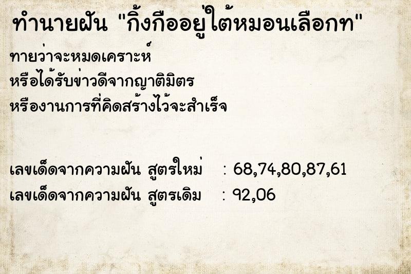 ทำนายฝัน กิ้งกืออยู่ใต้หมอนเลือกท