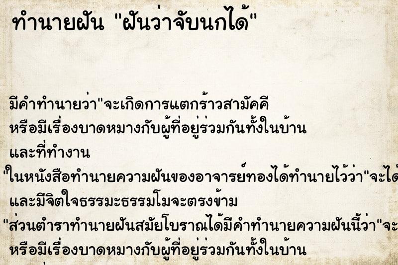 ทำนายฝันฝันว่าจับนกได้ ทำนายฝันทำนายฝันฝันว่าจับนกได้