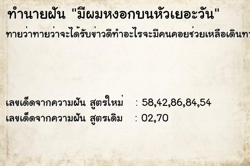 ทำนายฝันทำนายฝันมีผมหงอกบนหัวเยอะวัน