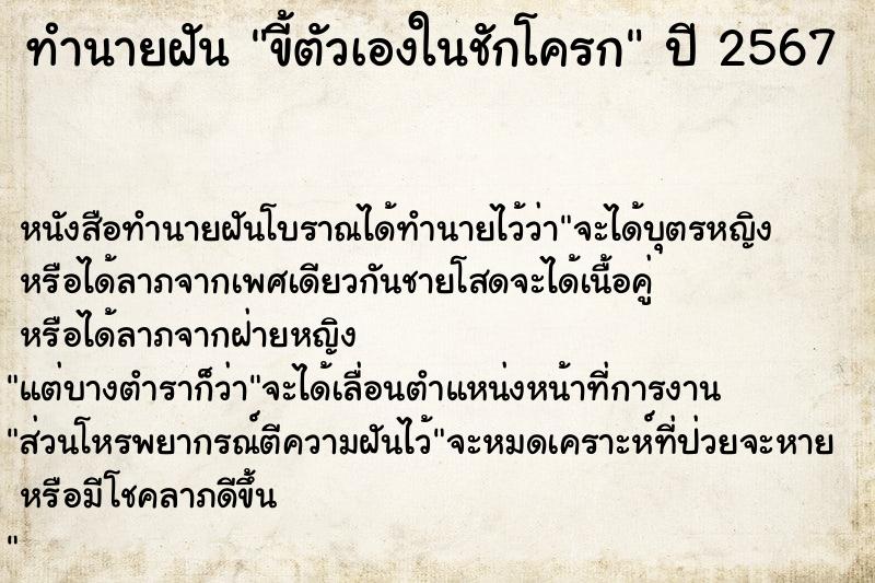 ทำนายฝัน ขี้ตัวเองในชักโครก ทำนายฝัน ขี้ตัวเองในชักโครก