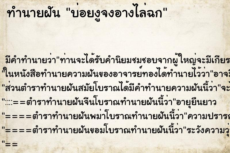 ทำนายฝัน บ่อยงูจงอางไล่ฉก ทำนายฝัน บ่อยงูจงอางไล่ฉก