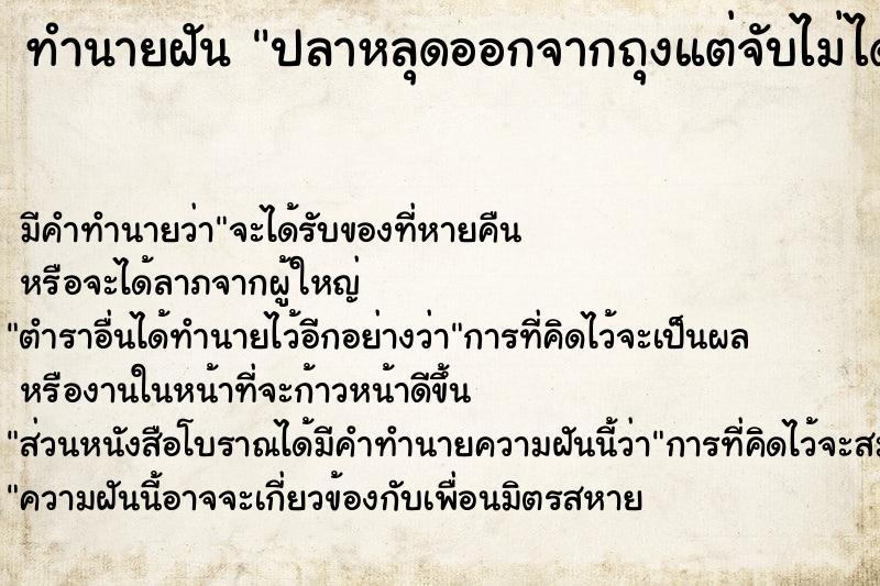 ทำนายฝันปลาหลุดออกจากถุงแต่จับไม่ได้ ทำนายฝันทำนายฝันปลาหลุดออกจากถุงแต่จับไม่ได้
