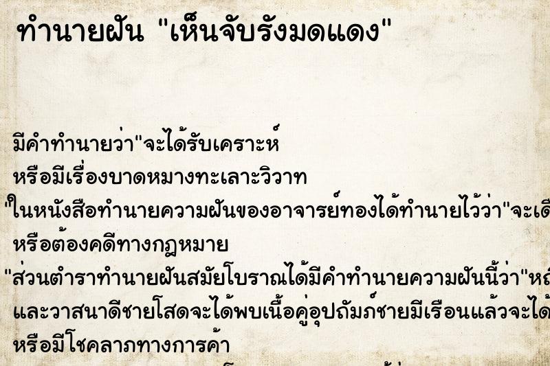 ทำนายฝัน เห็นจับรังมดแดง ตำราโบราณ แม่นที่สุดในโลก