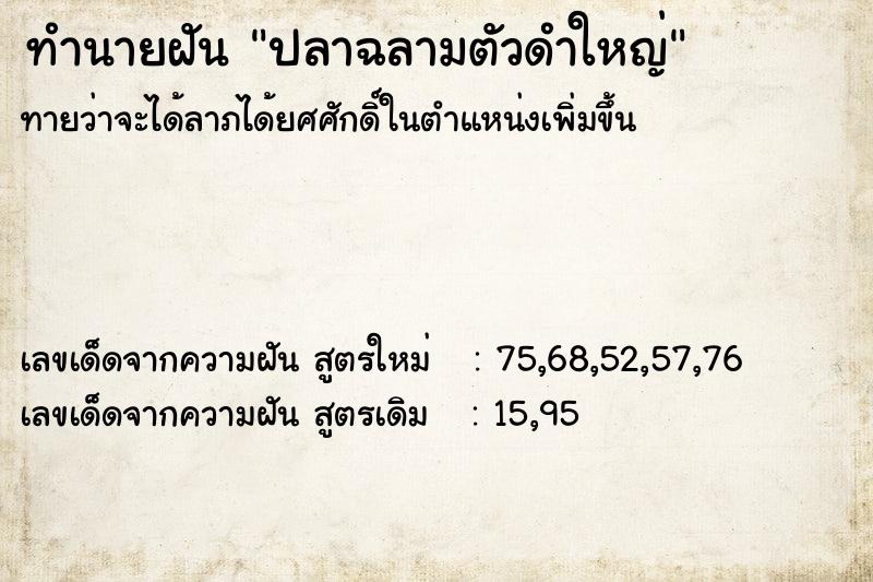 ทำนายฝันปลาฉลามตัวดำใหญ่ ทำนายฝันทำนายฝันปลาฉลามตัวดำใหญ่