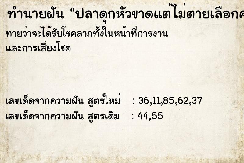 ทำนายฝันปลาดุกหัวขาดแต่ไม่ตายเลือกค ทำนายฝันทำนายฝันปลาดุกหัวขาดแต่ไม่ตายเลือกค