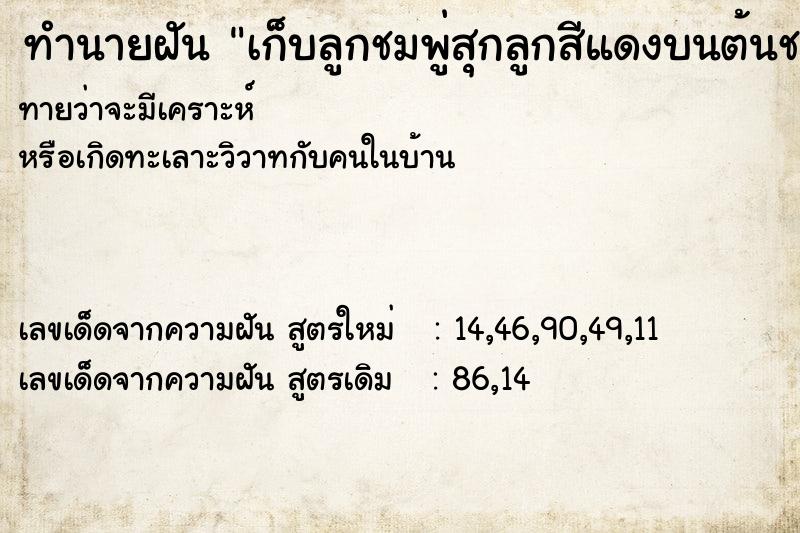 ทำนายฝันทำนายฝันเก็บลูกชมพู่สุกลูกสีแดงบนต้นชมพู่