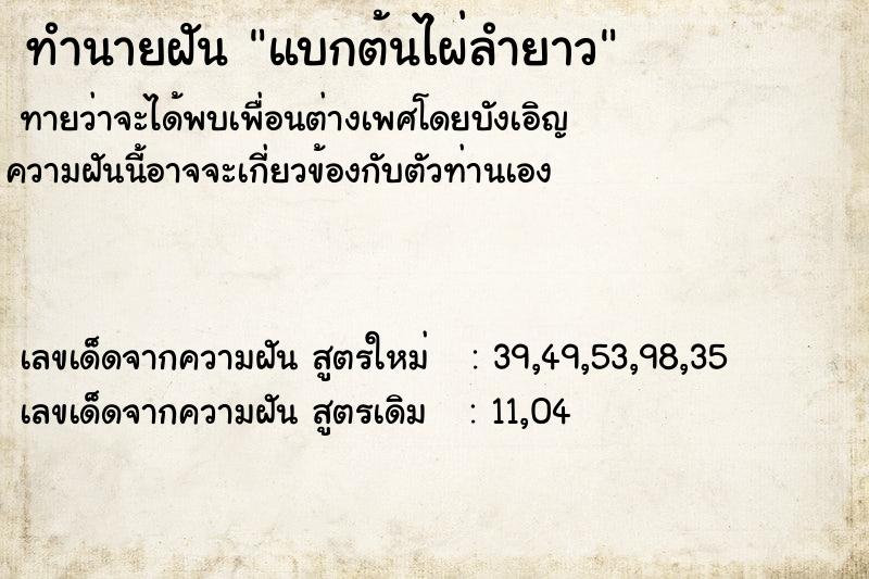 ทำนายฝันแบกต้นไผ่ลำยาว ทำนายฝันทำนายฝันแบกต้นไผ่ลำยาว